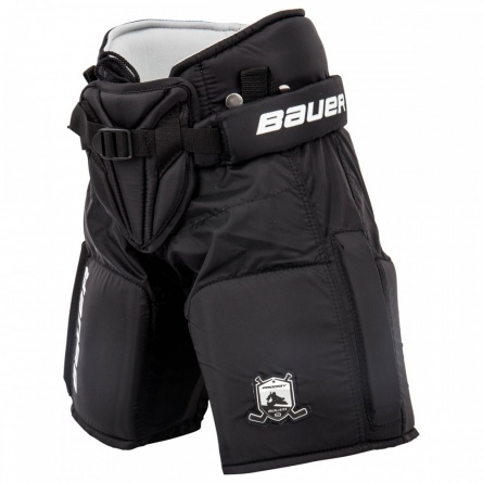 Трусы вратаря PRODIGY 3.0 GOAL PANT S17 YTH  1051236 фото 1